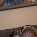 Allen Strode - Facebook