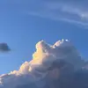 allensu - @allensu89 - TikTok