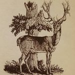 Allen Sung - @allensung0315 - Instagram
