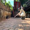 Sung - @allen_sung_sc - TikTok