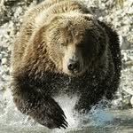Allen Sutterfield - @allensutterfield - Instagram