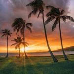 Allen Sutton - @allendsutton - Instagram