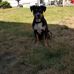 Allen Sutton - Facebook