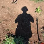 Allen R Tapley - @canonallentapley - Instagram