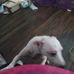 Allen Talley - Facebook