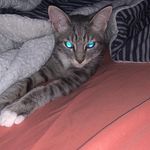 Bryaden Allen Tapp - @bryadentapp - Instagram