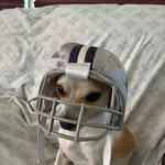 Allen Tarrats - @allentarrats - Instagram
