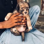Allen Tarri - @allentarri - Instagram