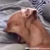 Allen Teague - @allenteague_8315 - TikTok