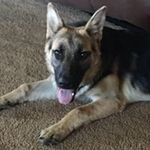 Janie Allen Teague - @teaguejanie - Instagram