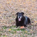 Allen Mausteller - @allenmausteller - Instagram