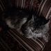 Alan Terwilliger - Facebook