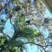 Allen Thacker - Facebook
