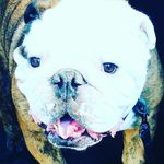 king_benjamin_allen_thacker - @the_man_king_benji - Instagram