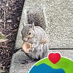 Karen Tharp Allen - @karentharpallen - Instagram