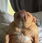 Allen Thurman - Facebook