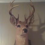 landonallenthurman - @landonallenthurman - Instagram