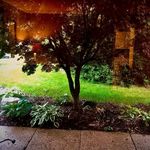 Allen Tobin - @allentobin785 - Instagram