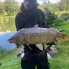 Alan Trigg - @alan.trigg - TikTok