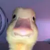 Tyler.allen13 - @tyler.allen13 - TikTok