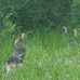 Allen Unger - Facebook