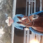 Allen Walburn - Facebook