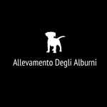Allevamento Cinofilo Degli Alburni - @allevamentodeglialburni - Instagram