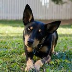 kasen allen warner - @kasenallenwarner - Instagram