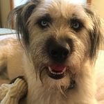 Allen Werner - @awernermn - Instagram
