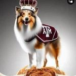 Tab Allen Werner - @tabber24 - Instagram