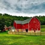 Allen Westerfield - @allen_malibu - Instagram