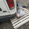 Allen Womble - @allen.womble1 - TikTok