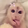 ALLI!!!!💗💗 - @alli.rose06 - TikTok