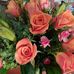 Allison Schmidt Sieberns - Facebook