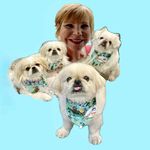 Pixie & Rocket , 👼🏻 🌈 Rex & Paylee 👩 Allie Hansen - @team_pekingese - Instagram