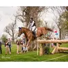 Allie Knowles - @akeventing1 - TikTok