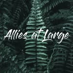Mambo Ferido - @alliesatlarge - Instagram
