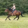allieleonard6 - @allieleonard6 - TikTok