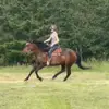 allieleonard - @allieleonard - TikTok