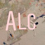Allie Lynch - @allliescloset - Instagram