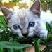 Allie Matlock - Facebook