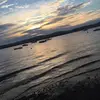 Ally McLaughlin  - @ally.mclaughlin - TikTok