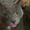 allie.morrow240 - @allie.morrow240 - TikTok