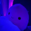 allie_scott - @allie_scott - TikTok