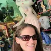 allie webb - @bheyes328 - TikTok