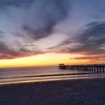 Allison Abbott - @allisonabbott7200 - Instagram