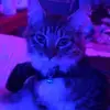 Allison Andrews - @uh.allison.andrews - TikTok