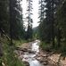 Allison Andrews - Facebook