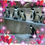 Allison Ashburn - Facebook