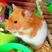 Allison Amanda Athey - Facebook